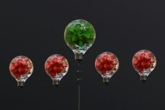 a group of light bulbs with flowers in them