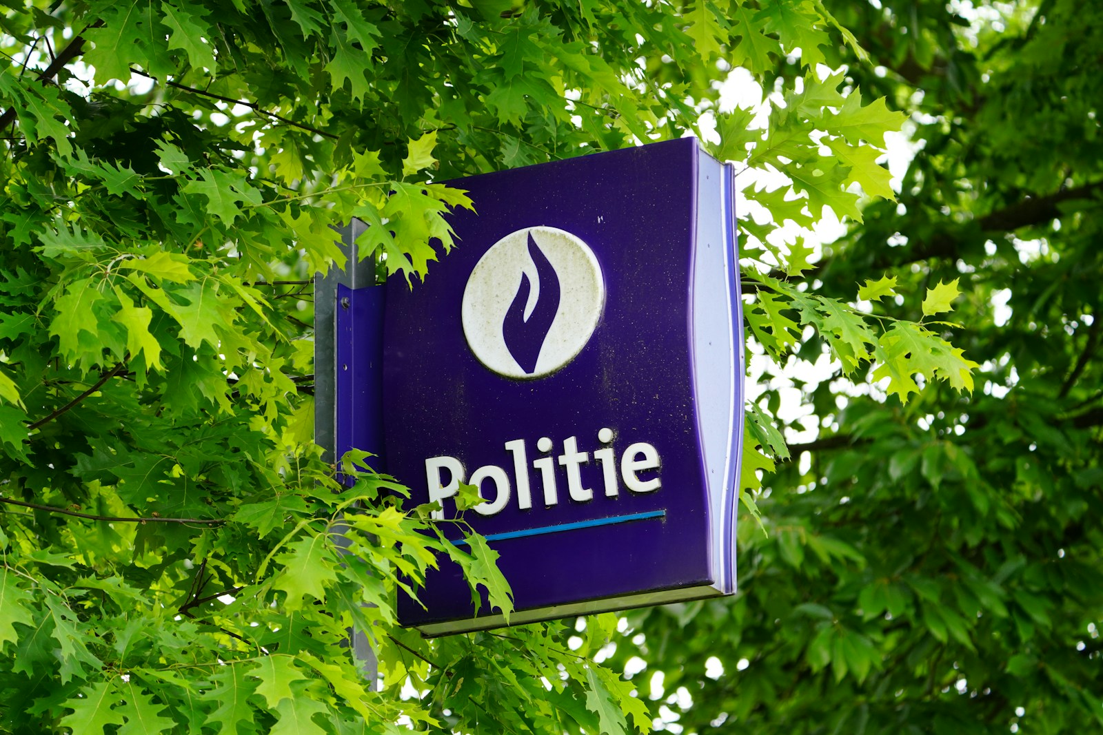 Police station sign visible through leafy branches.